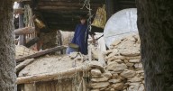 Rescuers race to find Afghan quake survivors as death toll passes 1,400