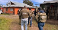 20 detenidos por maltrato animal en San Carlos: organizaban peleas de gallos clandestinas