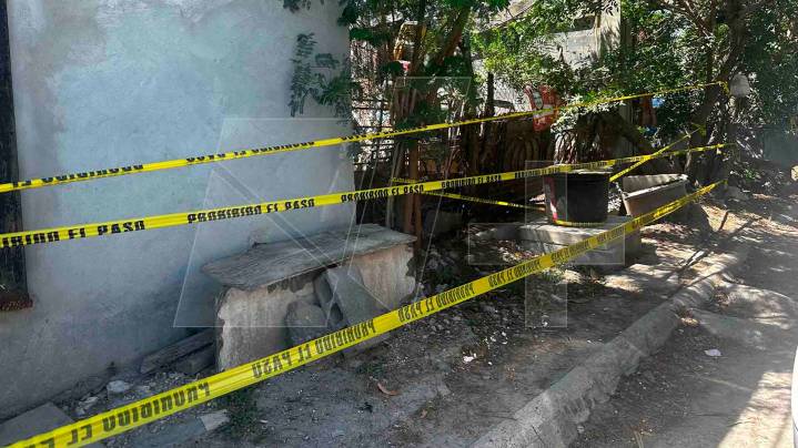Muere Una Bebé de 6 Meses por Ataque de Perro en Matamoros