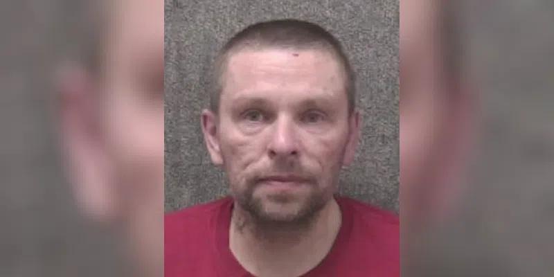 Police Arrest Michael Pippy in Intimate Partner Violence Case