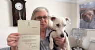 'My 11-week old puppy saved my life with phone call that left me baffled'