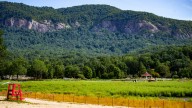Which N.C. parks have reopened after Helene? Where to go…