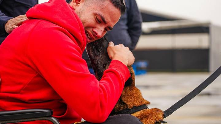 Video | El emotivo momento en que el patrullero Diego Herrera se reencuentra con su perro Telmo tras sobrevivir al atentado de Amalfi