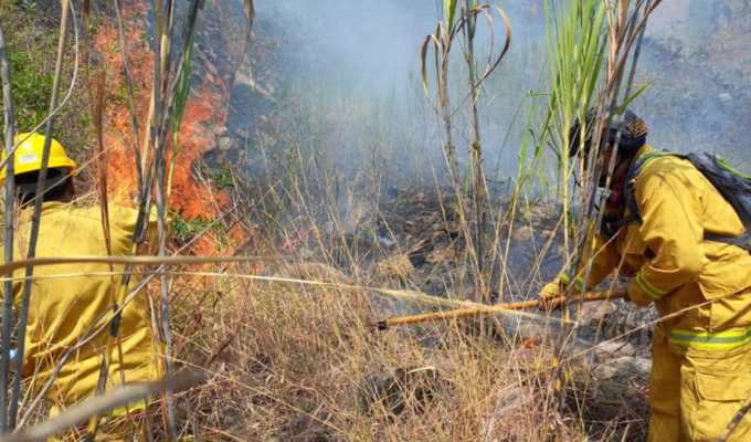 Cusco: incendio forestal afecta sector de Pacaymayo Bajo dentro del parque de Machu Picchu
