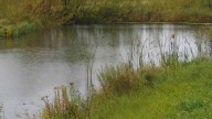 Cherokee County man drowns in farm pond while boating with son