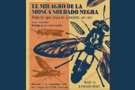 El milagro de la mosca soldado negra