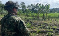 Intento de asonada en Putumayo dejó un civil herido en operativo militar
