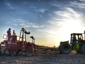 Calculan que la soja perderá hasta 1,35 millones de hectáreas