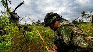 Trump administration says Colombia has failed in fight against drug trafficking, but US will still provide funding to country