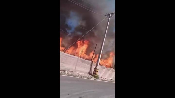 Incendio forestal en Paihuano afecta a cuatro viviendas y obliga a evacuar con alerta SAE