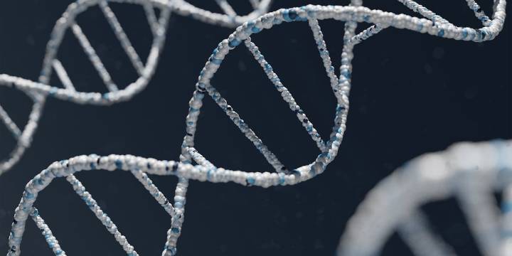 Madison Police Dept. uses DNA to make arrest in 2013 sexual assault