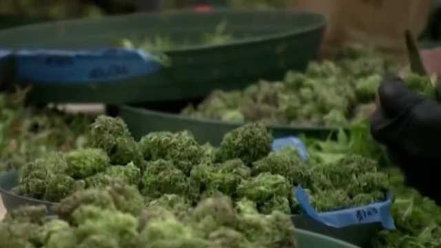 Medical cannabis advocate says new regulations signal death for program