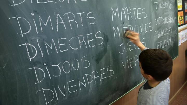 El TSJC anula gran parte del decreto que blindaba el catalán como lengua vehicular en las escuelas