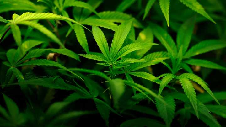 Where can I smoke pot in Michigan? The answer might surprise you
