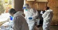 Exigen veterinarios pago de servicios al Ayuntamiento
