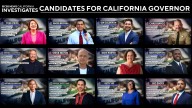 Meet the people who want to be California's next governor.