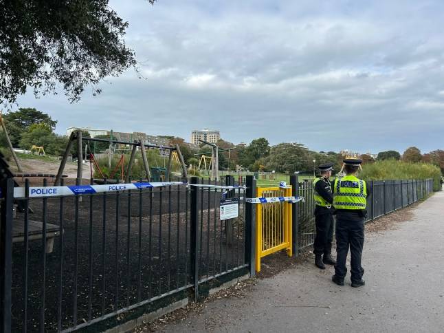 Girl, 15, raped in children’s play area ‘by man who travelled 120 miles to meet her’