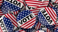 Recount in Georgia Senate District 21 special election confirms original results