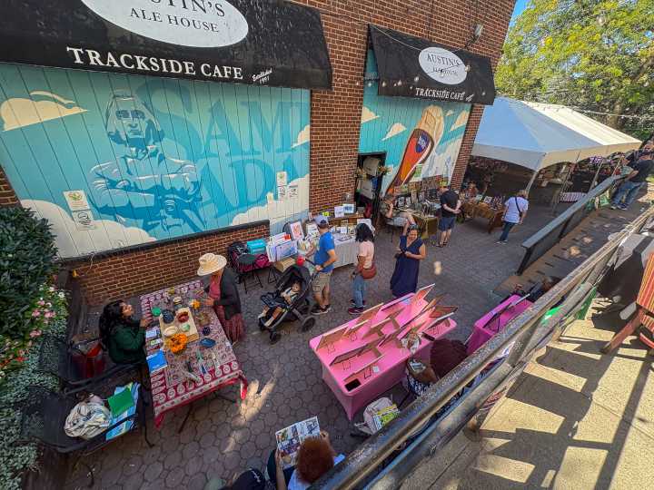 Hundreds attend Kew Gardens Community Arts Day to support local artisans
