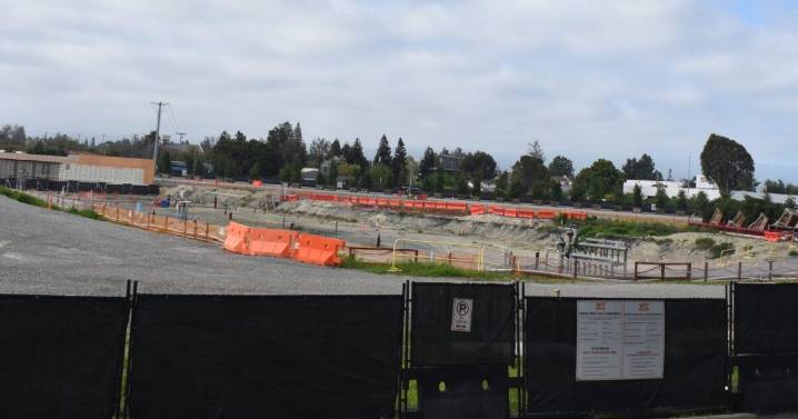Mountain View fines Google for cutting down 800