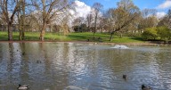 Bristol parks will soon charge £450 entry for dog walkers, personal trainers and more