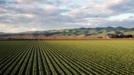 Colombia Agrifood Innovation Hub fortalece su ecosistema con nuevos aliados estratégicos en apenas cinco meses de gestión