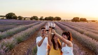 Singularidad y sabor en la Ruta del vino Ribera del Duero