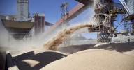 Oficial | La suspensión de retenciones no solo incluye granos: el listado completo de productos alcanzados