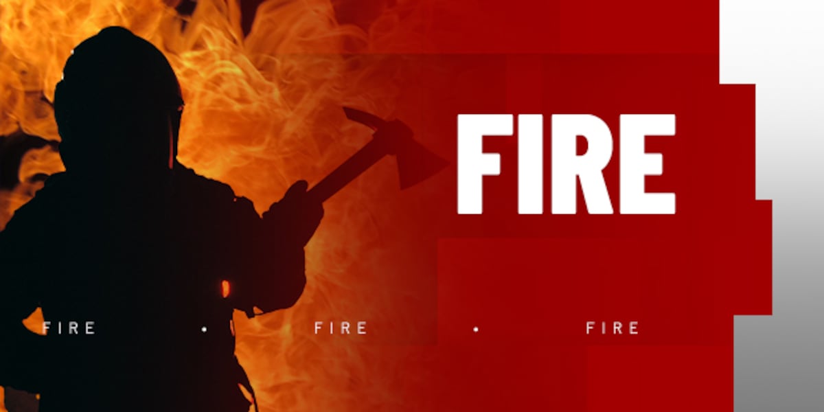 1 seriously injured in Dutchtown neighborhood overnight fire