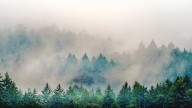 The U.S. Was Right About Canada's Air Problem Harming Americans: A New Study Proves It