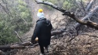 3 Big Dogs From California Were Scared Of Humans After Being Dumped On A Mountain