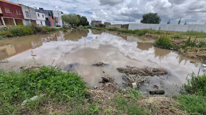 Agua de lluvia se estanca en terrenos baldíos en la capital