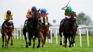 British Horseracing to hold historic strike with no meetings on Wednesday in tax protest against Government
