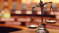 Greene man pleads guilty to trafficking animal parts in Portland court