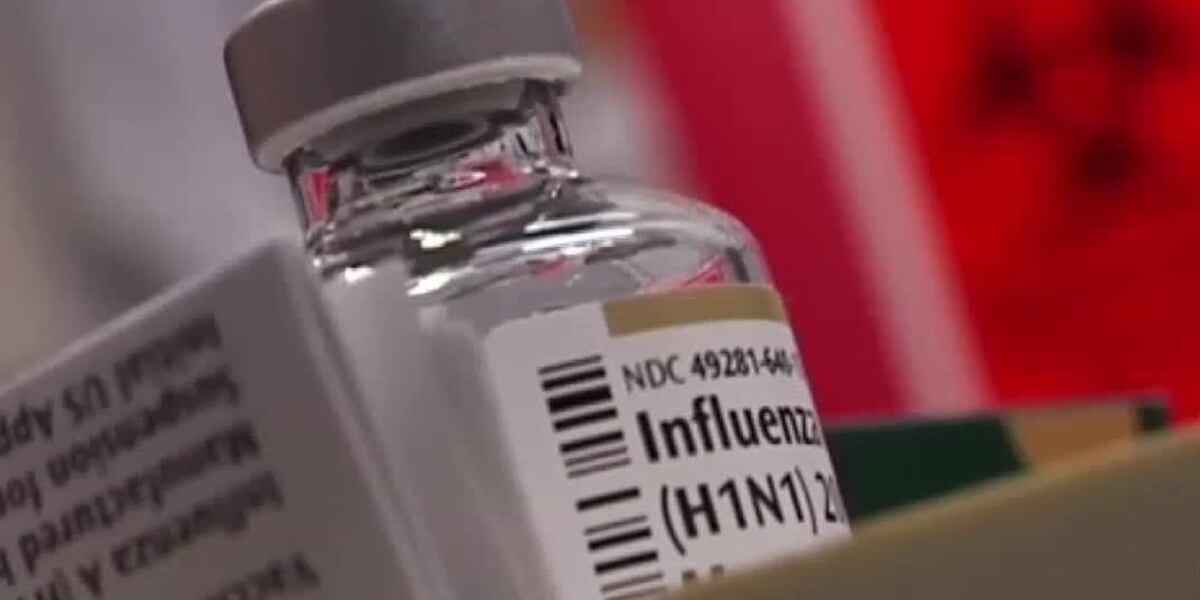 Local health professionals urge vaccination before flu season
