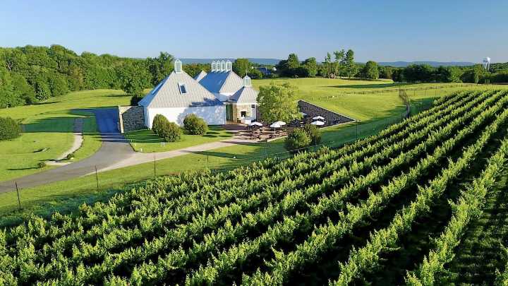 Boxwood Winery in Virginia: Meet the experienced duo behind its success