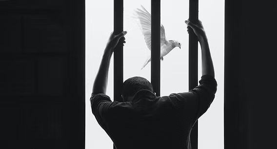 El miedo es libre