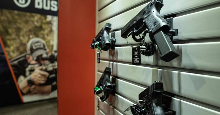Lawsuit accuses firearms industry group of using gun owners' personal data to tailor political ads