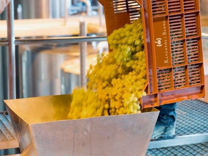 Last: Champagne lookalikes that won’t break the bank