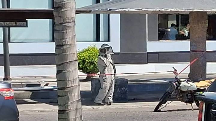 Abejas invaden restaurante y atacan comensales
