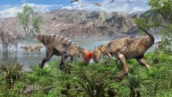 Oldest fossil of a dome-headed dinosaur is found in Mongolia