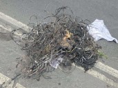 Querían el cobre: Caen 2 sujetos por quemar cable en Iztapalapa