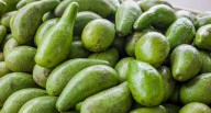 Agroexportaciones superan los US$6.730 millones en los primeros siete meses del 2025 l agroexportaciones l Últimas