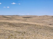 Ed Engle: Sagebrush, silence and pronghorns in northwestern Colorado