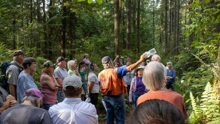 County pauses 'thinning' in Banner Forest, more discussion to come