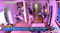 Man accused of beating dog to death at West Hollywood apartment