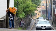 Flor de pericón y la tradición de poner cruces en las puertas