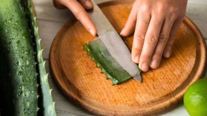 Aloe vera: por qué recomiendan cortar una hoja de la planta y cuándo es momento de hacerlo