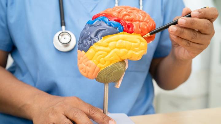 Todo lo que hay que saber sobre los avances recientes para prevenir, diagnosticar y tratar el Alzheimer a propósito del Día Internacional de esta enfermedad