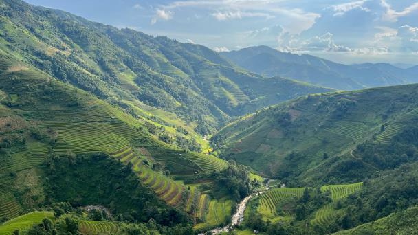 América Latina destaca por su crecimiento en las patentes para tecnologías agrícolas